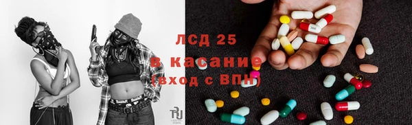 индика Богородск