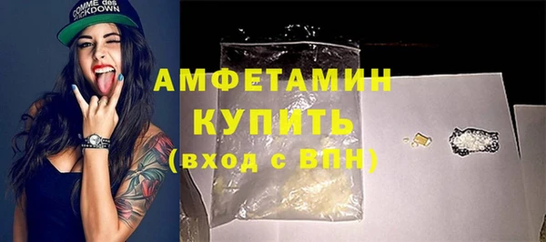 индика Богородск