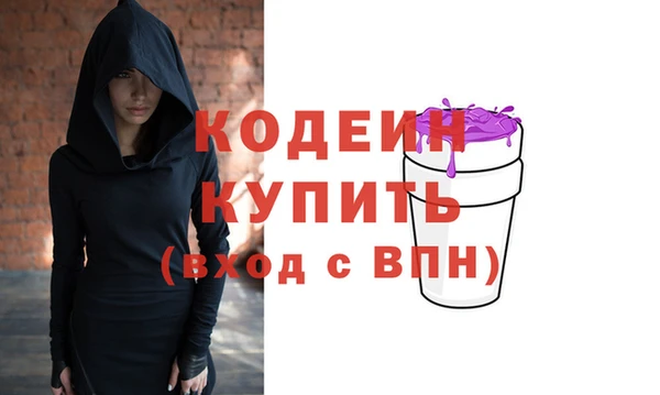 индика Богородск
