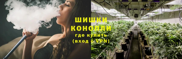 мдпв Богородицк