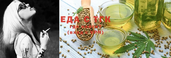 индика Богородск