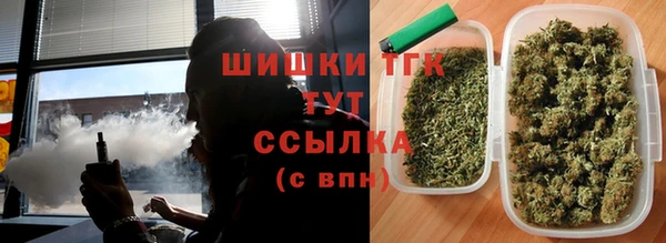 индика Богородск
