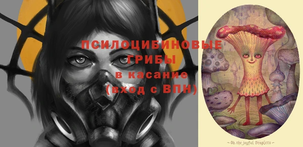 винт Бронницы