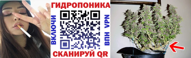 Купить  Задонск  Бошки Шишки VHQ 